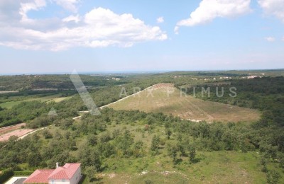 Attractive land for the construction of villas with the sea view, Buje