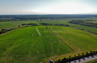 Ackerland in bester Lage, Buje