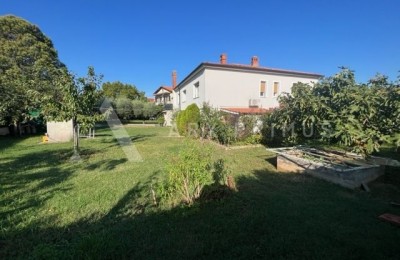 Samostojna hiša na veliki parceli obdana z zelenjem, Finida, Umag