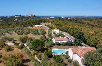 Elegantna istarska vila s panoramskim pogledom, bazenom i maslinama