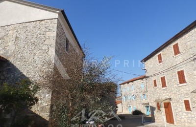 Haus Brtonigla