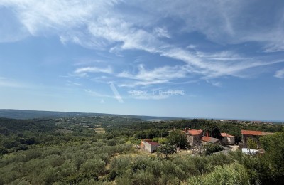 Moderna vila, Krasica, Buje