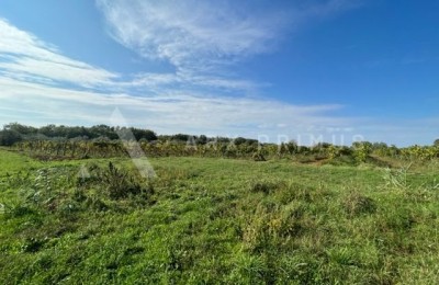 Kmetijsko zemljišče v okolici Brtonigle