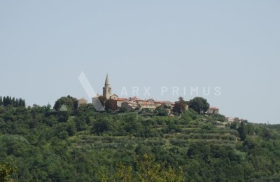 Old Istrian house with a large plot for new build